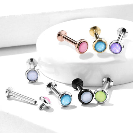 Collection image for: CARTILAGE PIERCINGS