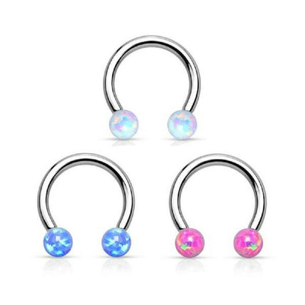 Collection image for: CIRCULAR BARBELLS