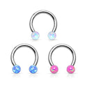 CIRCULAR BARBELLS