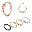 SEGMENT RINGS
